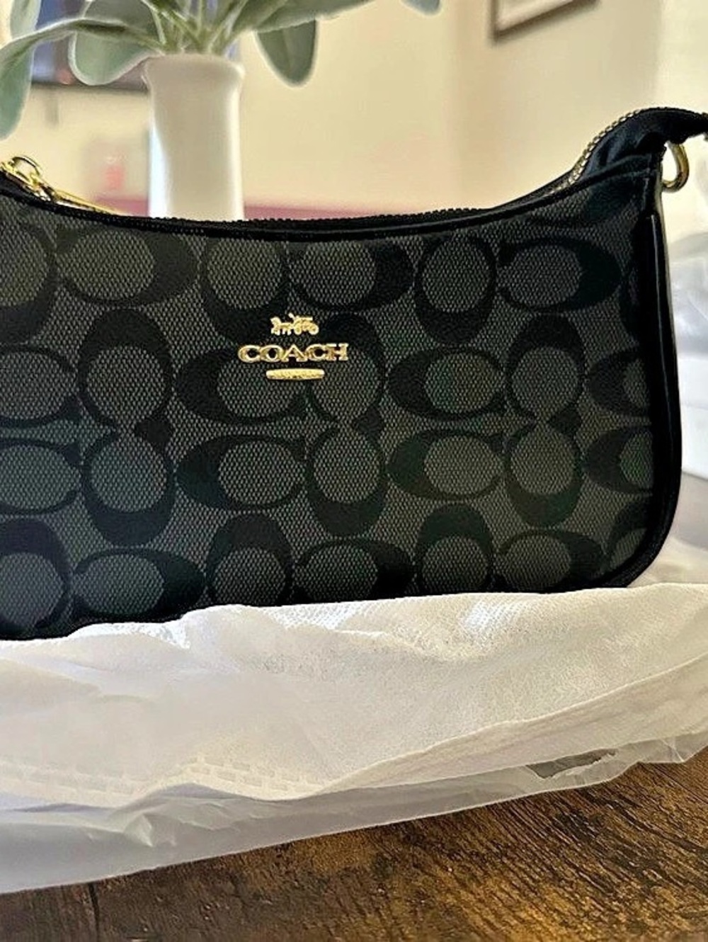 Coach Teri Shoulder Bag In Signature Canvas Black